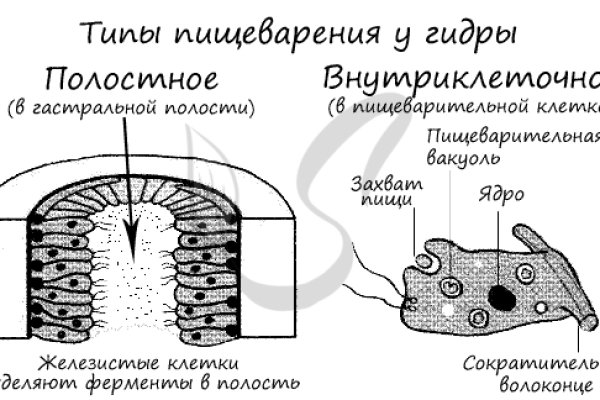 Какая комиссия кракен маркетплейс