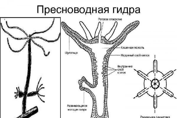 Кракен сегодня сайт зеркало