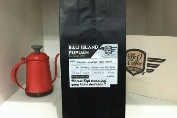 Kraken 13at