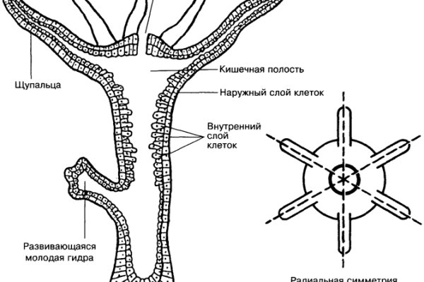 Kraken зеркало стор