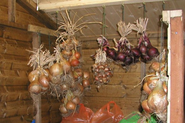 Кракен маркетплейс телеграм
