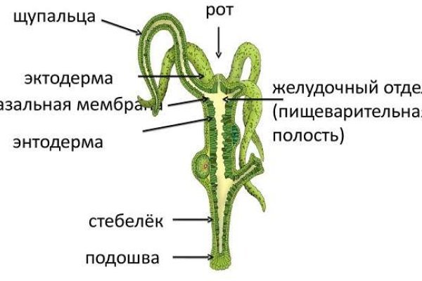 Кракен актуальные ссылки на сегодня