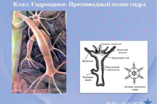 Ссылки на кракена и на мегу